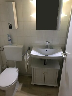 Shower, hair dryer, toilet paper