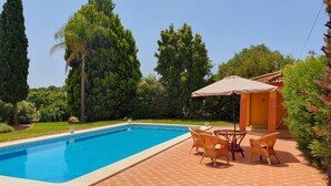 Ein Pool mit Fliesenveranda, umgeben von üppigem Grün und hohen Bäumen.