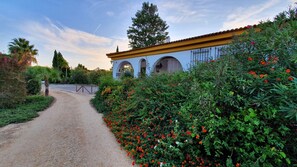 Property grounds - Rural house in a beautiful property with private pool in S-O Andalusia (Aljaraque)
