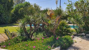 Property grounds - Rural house in a beautiful property with private pool in S-O Andalusia (Aljaraque)