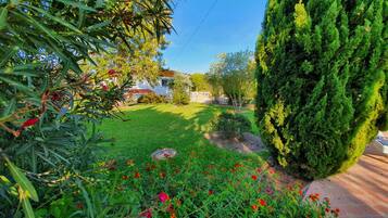 Áreas de la propiedad