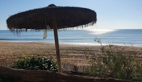 Sun loungers - Rural house in a beautiful property with private pool in S-O Andalusia (Aljaraque)