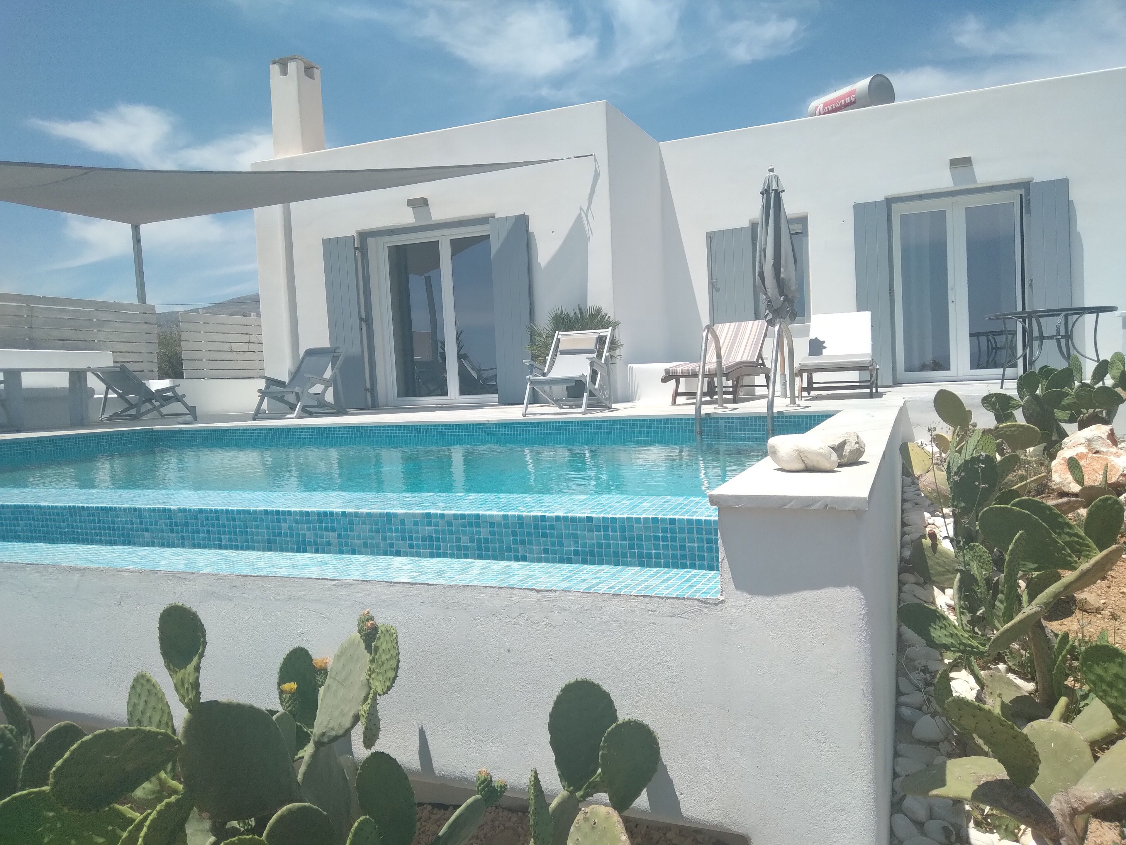 A modern outdoor pool area with a clear blue pool, surrounded by white walls and a cactus garden.