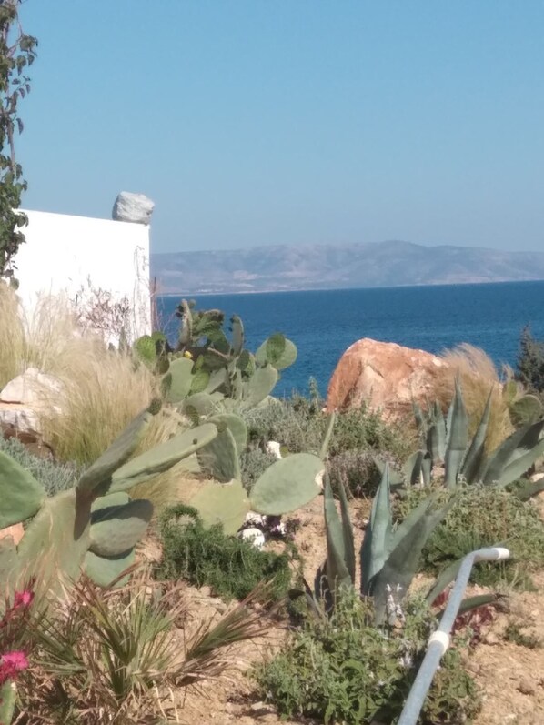 A coastal landscape with cacti and a white building, overlooking the sea. - Glymar (Paros)