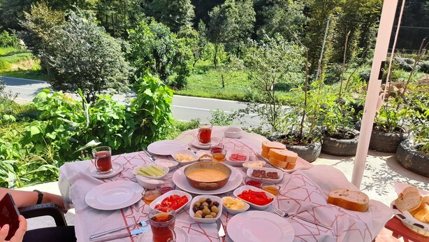 A table set outdoors with a variety of food items and drinks, surrounded by greenery and potted plants. - Vulada Butik Otel (Ardesen)