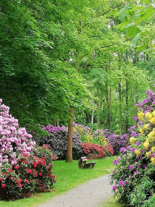 Hiking - Haus Wegener (Bad Sassendorf)