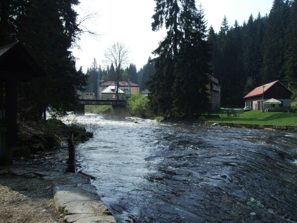 A river flowing through a forested area with a bridge and buildings in the background.