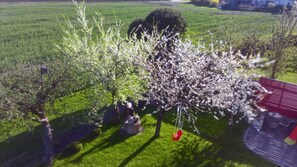 Garden - Ferienwohnung Auszeit (Hofheim in Unterfranken)
