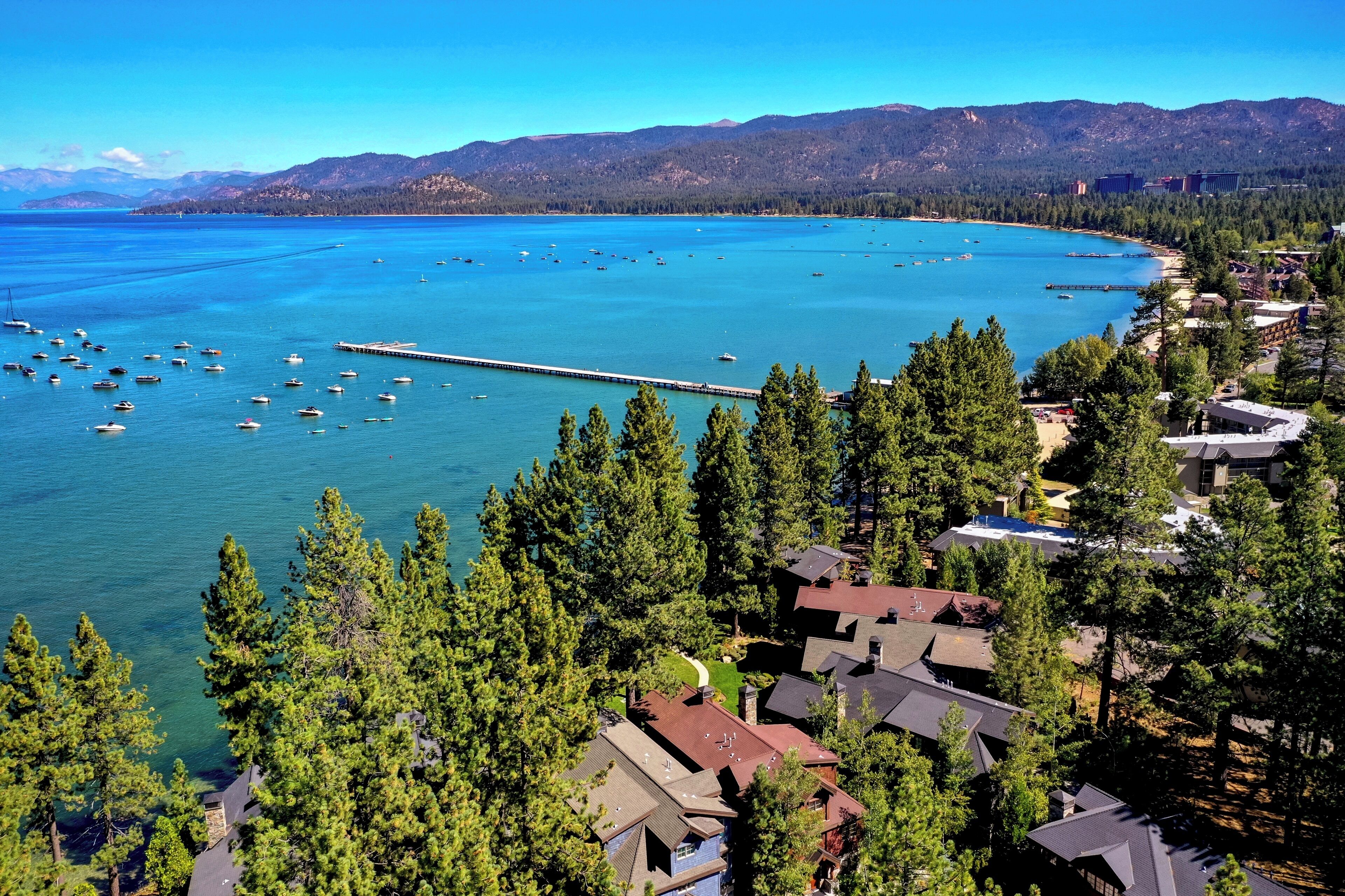 A coastal residential area with houses surrounded by dense pine trees, a pier extending into the water, and boats anchored in the bay.