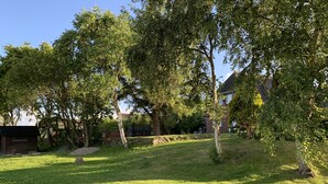 Un'area verde curata con alberi e un muro in pietra, probabilmente appartenente a una proprietà privata.