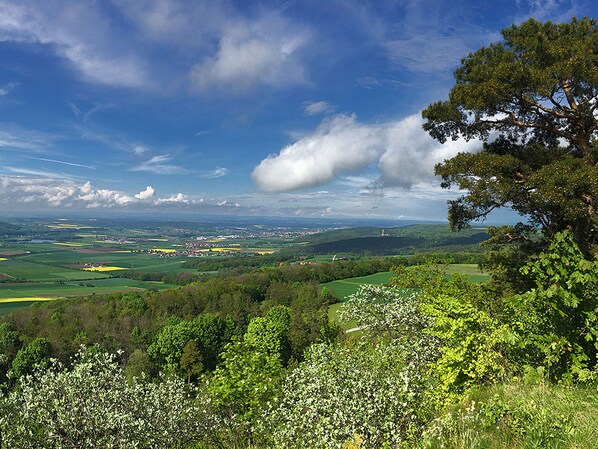 Vista panorámica de un paisaje exuberante con colinas ondulantes, diversa vegetación y un cielo azul despejado.