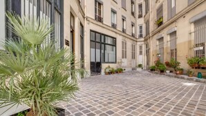 Une cour avec un sol pavé, des plantes en pot et un palmier.