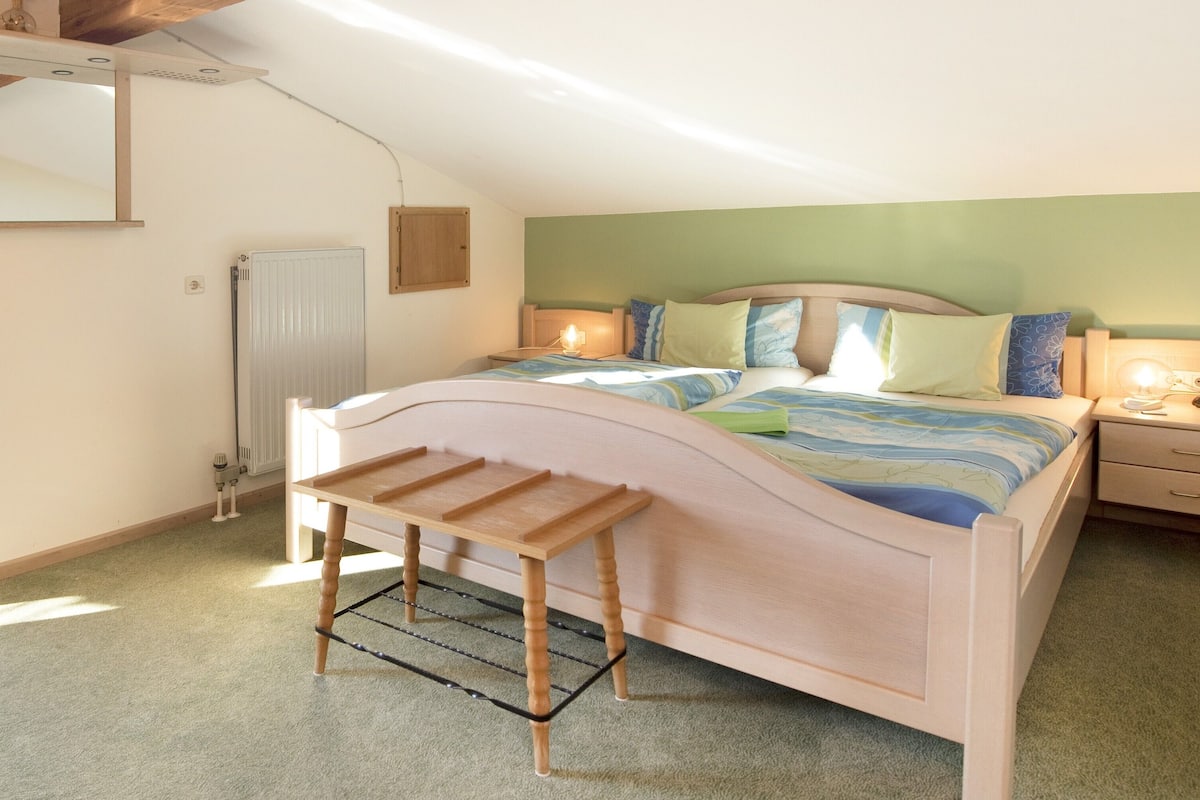 Apartment, Balcony | 1 bilik tidur, Wi-fi percuma, cadar katil
