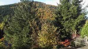 Montaña boscosa con árboles de hoja perenne y una valla de madera.