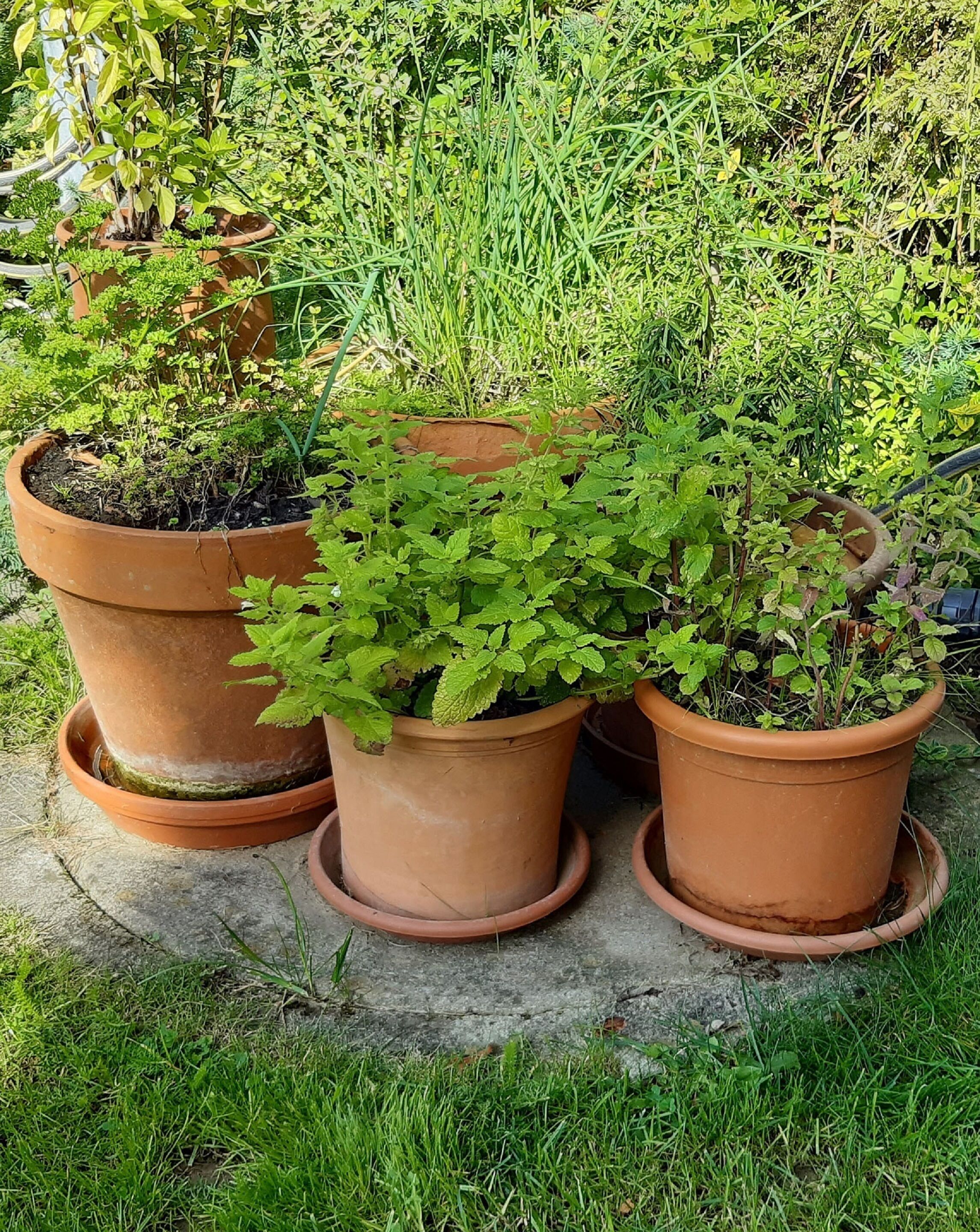 Garten