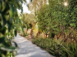 Deluxe Studio | Exterior