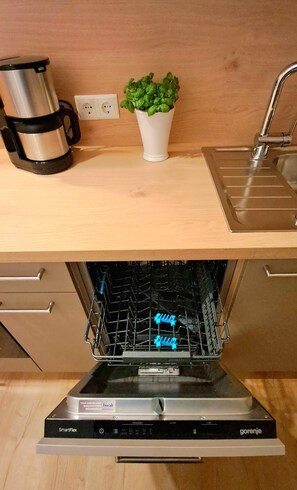 Apartment, 2 Bedrooms, Balcony | Private kitchen | Fridge, microwave, oven, coffee/tea maker - Ferienhaus Mariele (Lohberg)