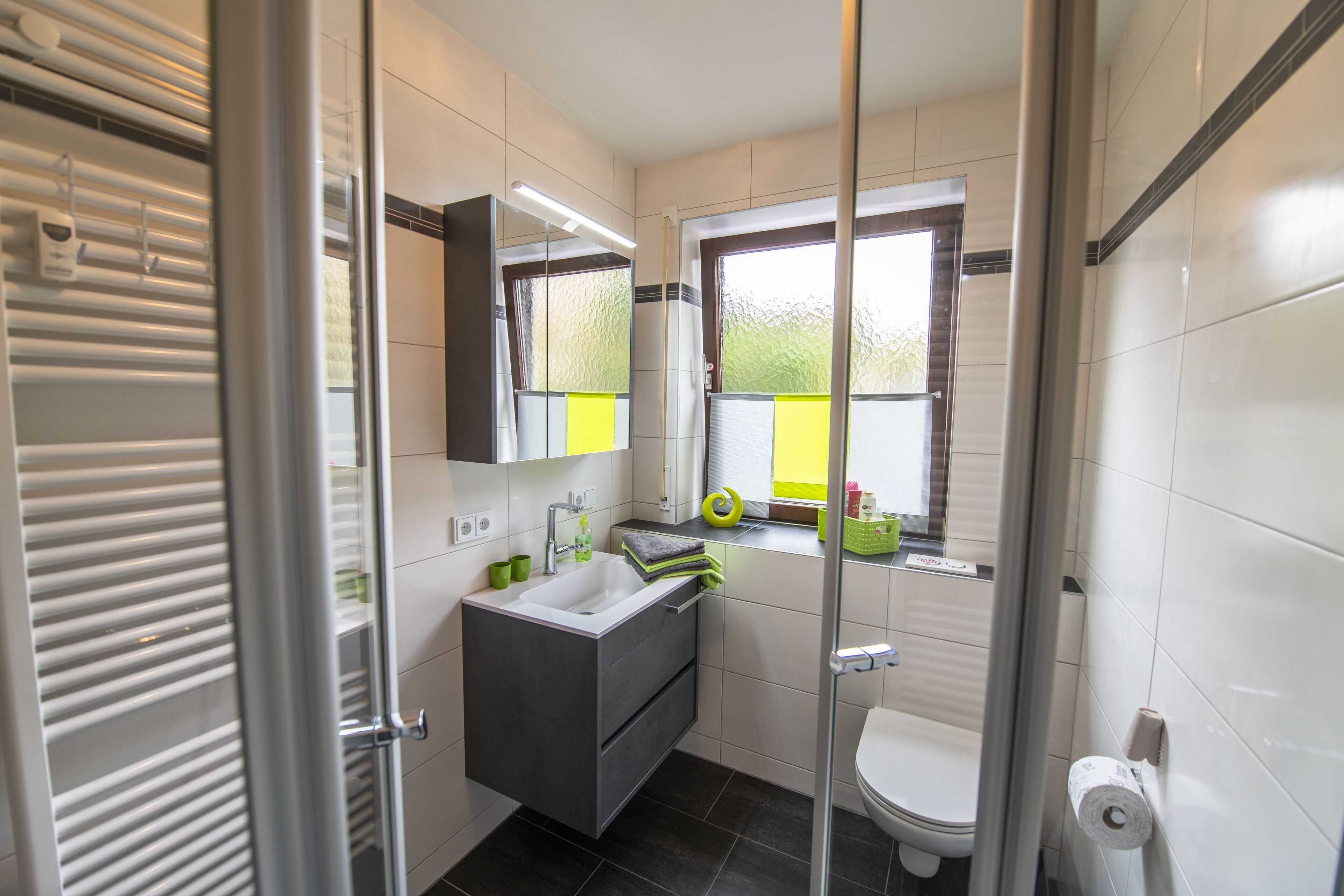 Apartment | Bathroom | Shower, hair dryer, towels, soap