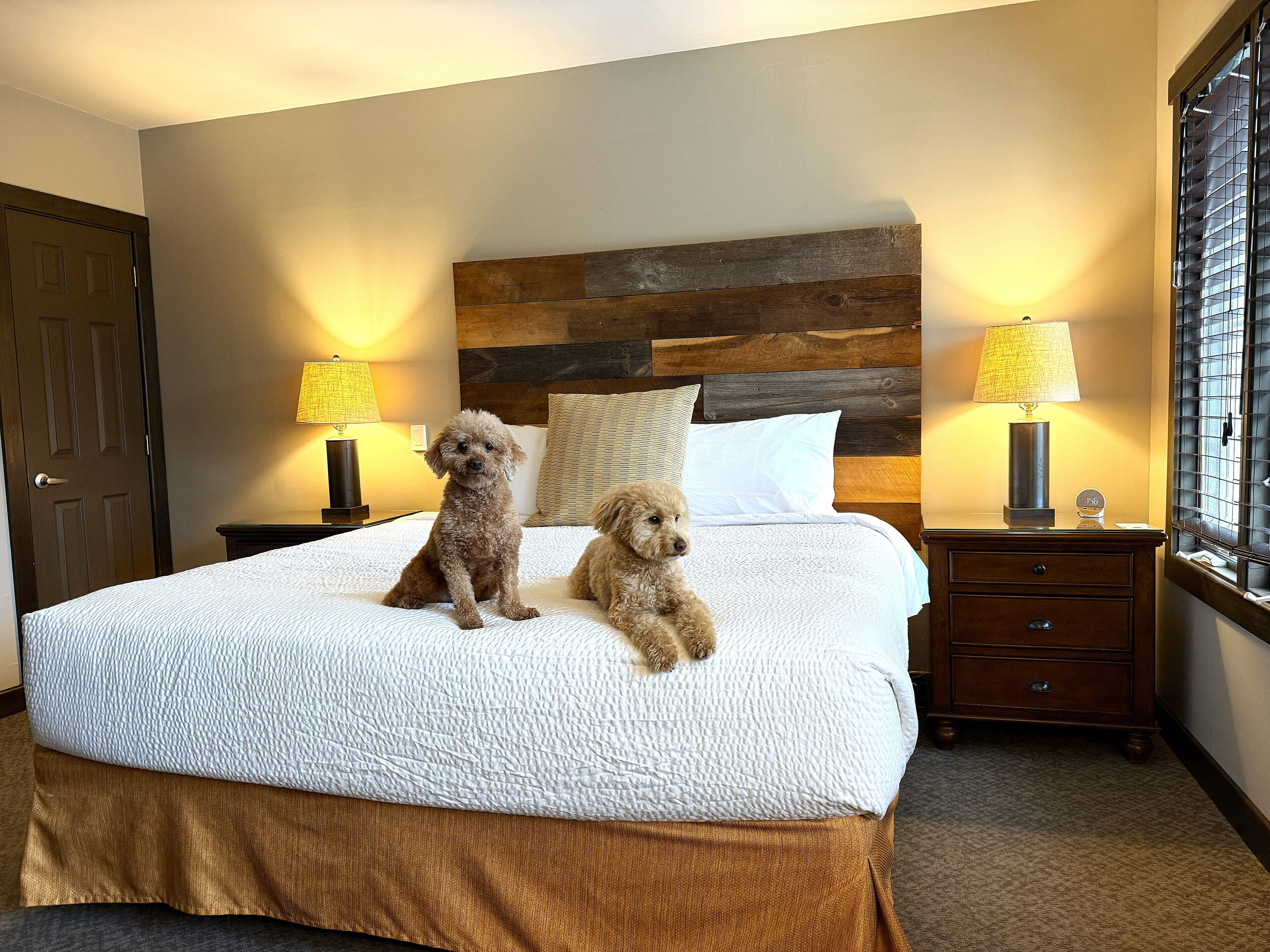 Ropa de cama de alta calidad y caja de seguridad en la habitación 