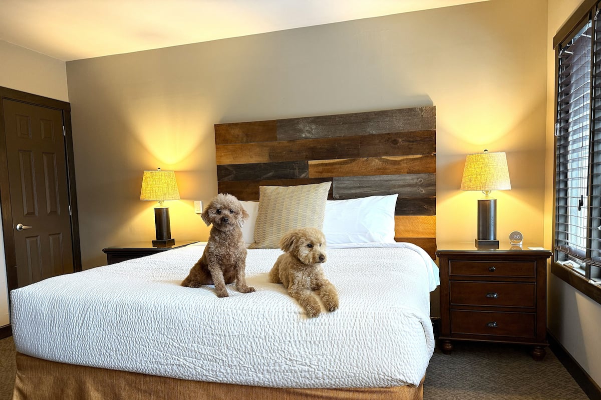 Suite, 1 King Bed with Sofa bed, Non Smoking (Sunrise View, Dog-friendly) | Premium bedding, in-room safe, iron/ironing board, free WiFi