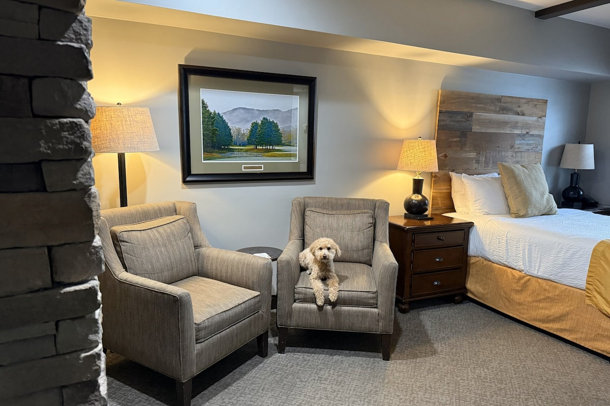 スタジオ クイーンベッド 1 台 禁煙 (Inn, Dog-friendly) | 高級寝具、セーフティボックス (室内)、アイロン / アイロン台、WiFi (無料)