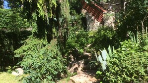Ein Garten mit unterschiedlichen Pflanzen, einer Steinmauer und einem Metallzaun.