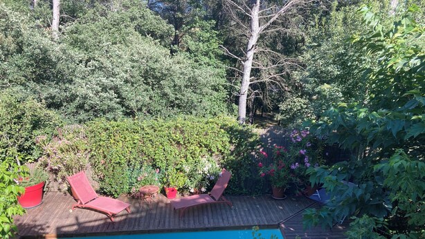 Ein Garten mit Schwimmbecken, roten Liegestühlen und einer Holzterrasse.