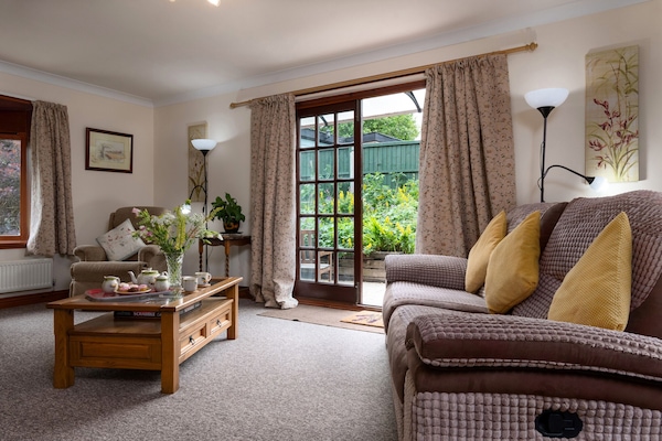 TV, fireplace, DVD player, books