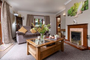 TV, fireplace, DVD player, books - The Grove Annexe (Craven Arms)