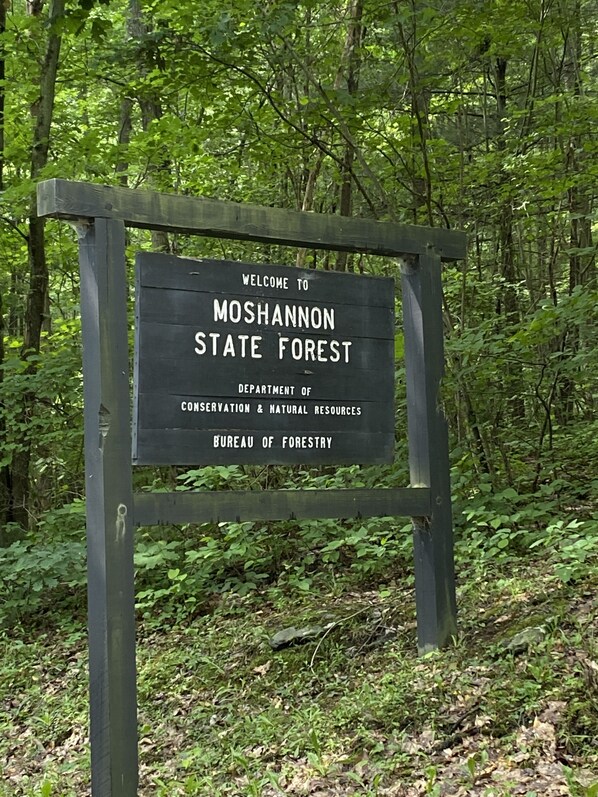 Un letrero de madera con la bienvenida al Bosque Estatal de Mosshannon.