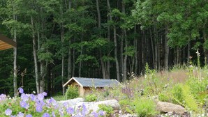 A small wooden cabin surrounded by a forest with tall trees and various wildflowers. - Kraftquelle Waldhäuser (Neuschoenau)