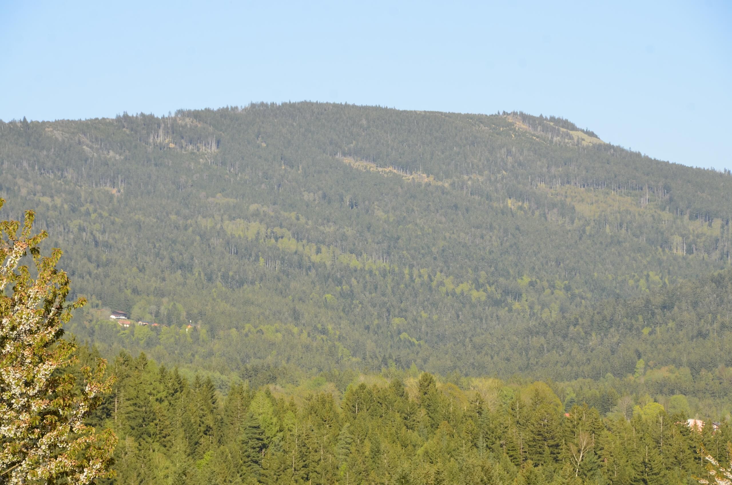 Een bergachtig landschap met een dicht bos en enkele gebouwen aan de voet ervan.
