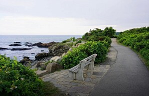 Plage à proximité, chaise longue, serviettes de plage