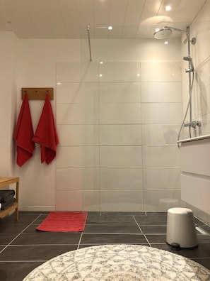Douche, sèche-cheveux, serviettes fournies, savon