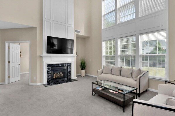 TV, fireplace, video games