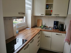 Kühlschrank, Mikrowelle, Herdplatte, Geschirrspüler