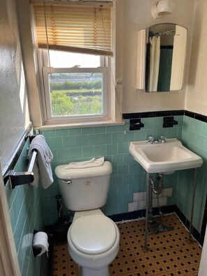 Room, 1 King Bed, Smoking