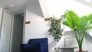 Unclassified image, 2 of 7, button - Hotel Iadolina (Budureasa)