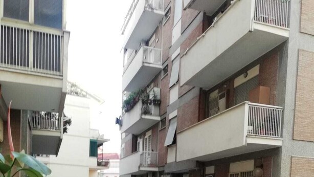 Un patio con plantas en macetas y suelo de piedra.