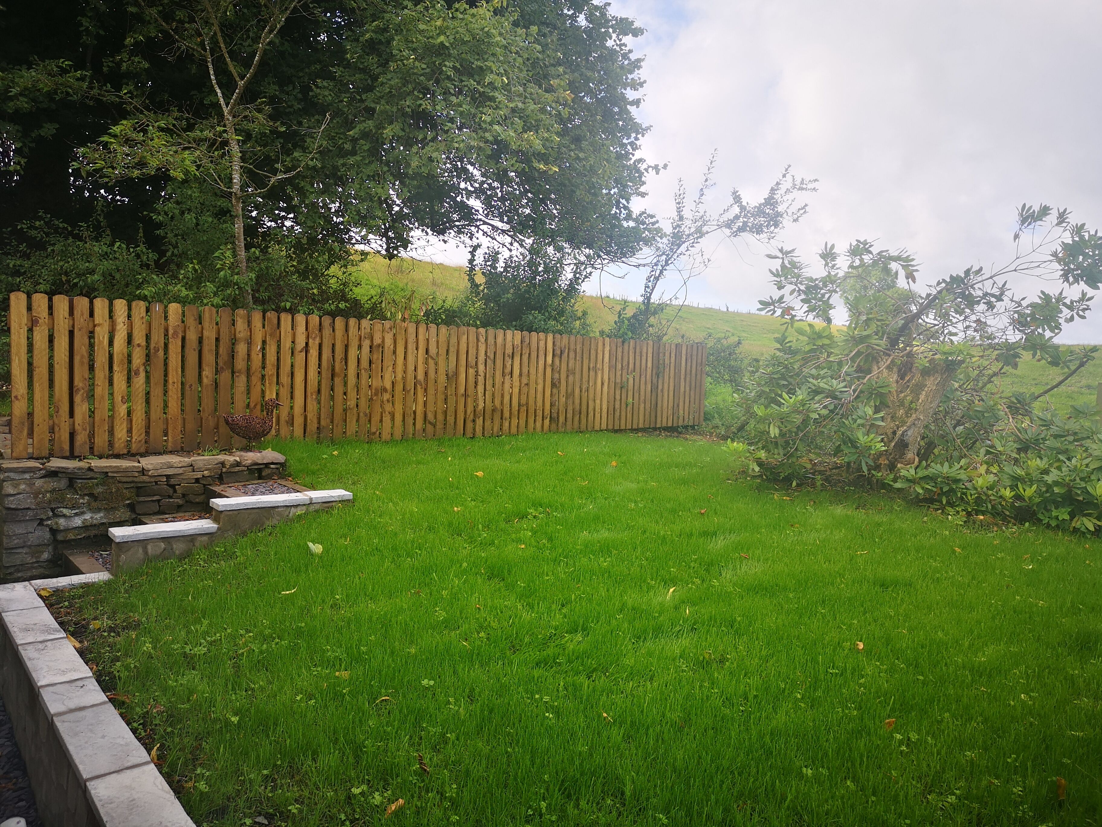 A grassy backyard with a wooden fence, stone steps, and a chicken.