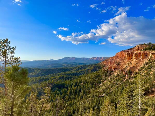A mountainous landscape with dense forests and rocky cliffs.
