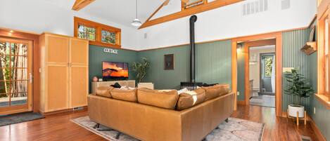 Smart TV, fireplace, books