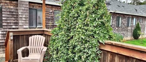 A wooden deck with a white plastic chair, a wooden pergola, and a dense green climbing plant.