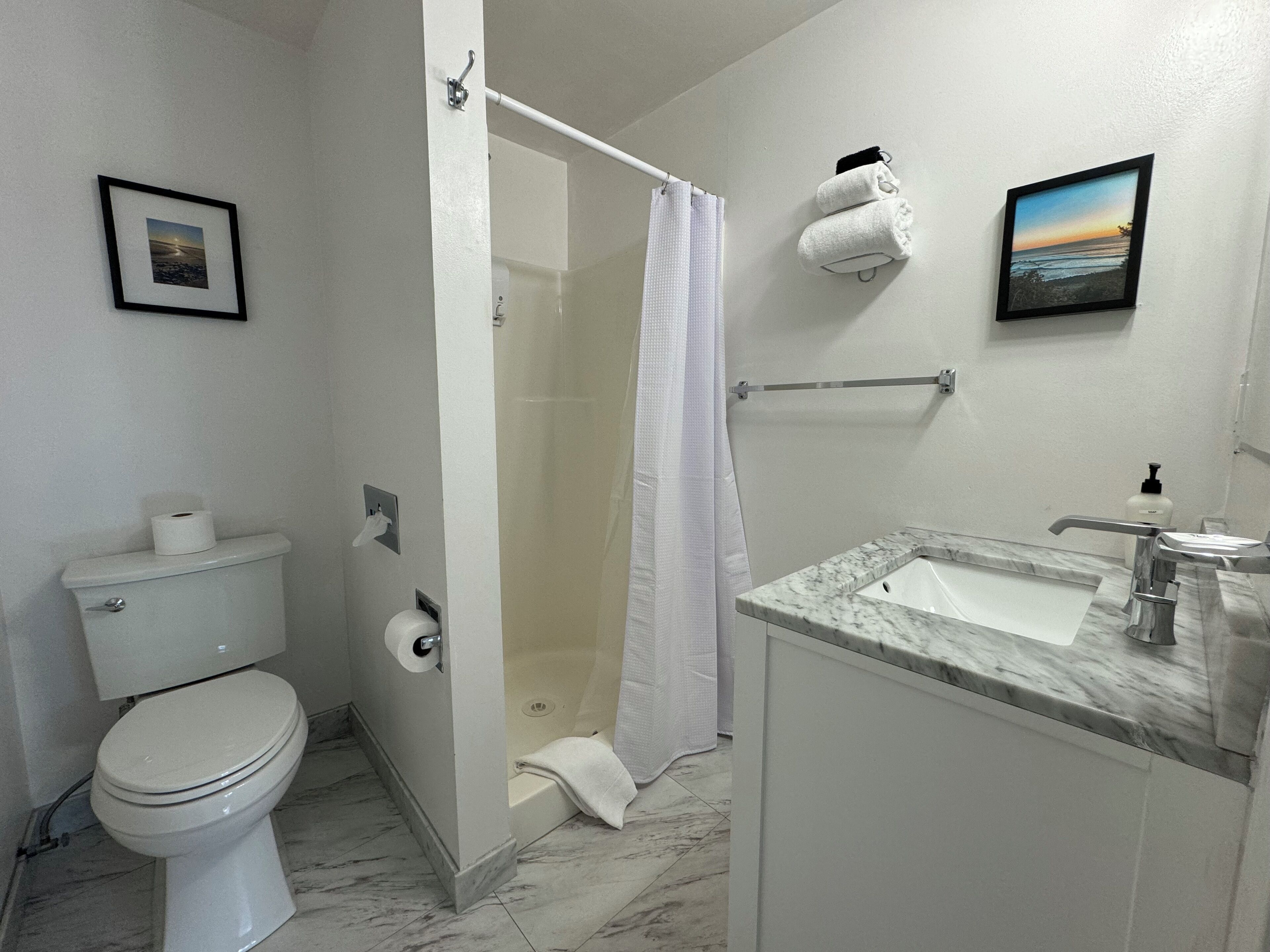 A bathroom with a toilet, shower, sink, and two framed pictures on the walls.