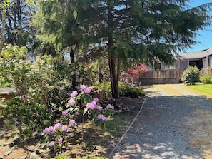 Property grounds - San Dune Inn (Manzanita)