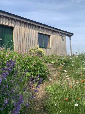 Surrounded by vibrant wildflowers, this charming building features a green door and window, inviting relaxation.
