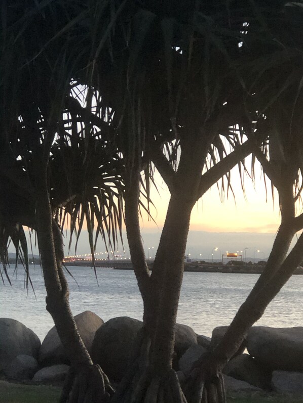 A view of a waterfront with palm trees and rocks. - Beach House Bed & Breakfast (Clontarf)
