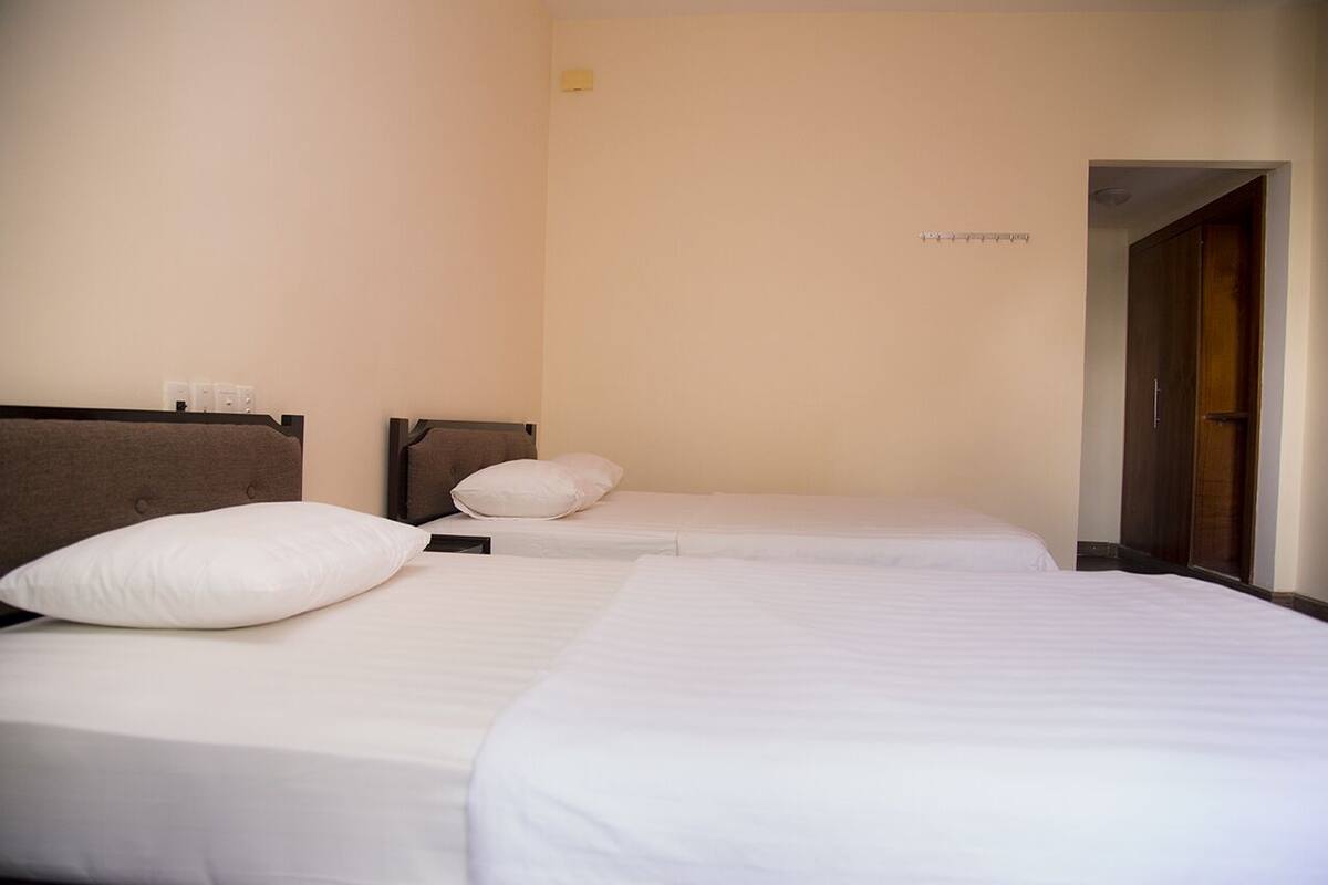 Deluxe Twin Room | Minibar, desk, WiFi (free)
