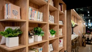 Een boekenplank met boeken en decoratieve planten.