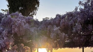 Une terrasse en pierre avec une table et des chaises, entourée d’arbres aux fleurs violettes et offrant une vue sur le coucher de soleil.